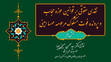 تصویر از بخش یکم- نگاهی اجمالی به قوانین مصوب مجلس شورای اسلامی در حوزه حجاب و نقد آن